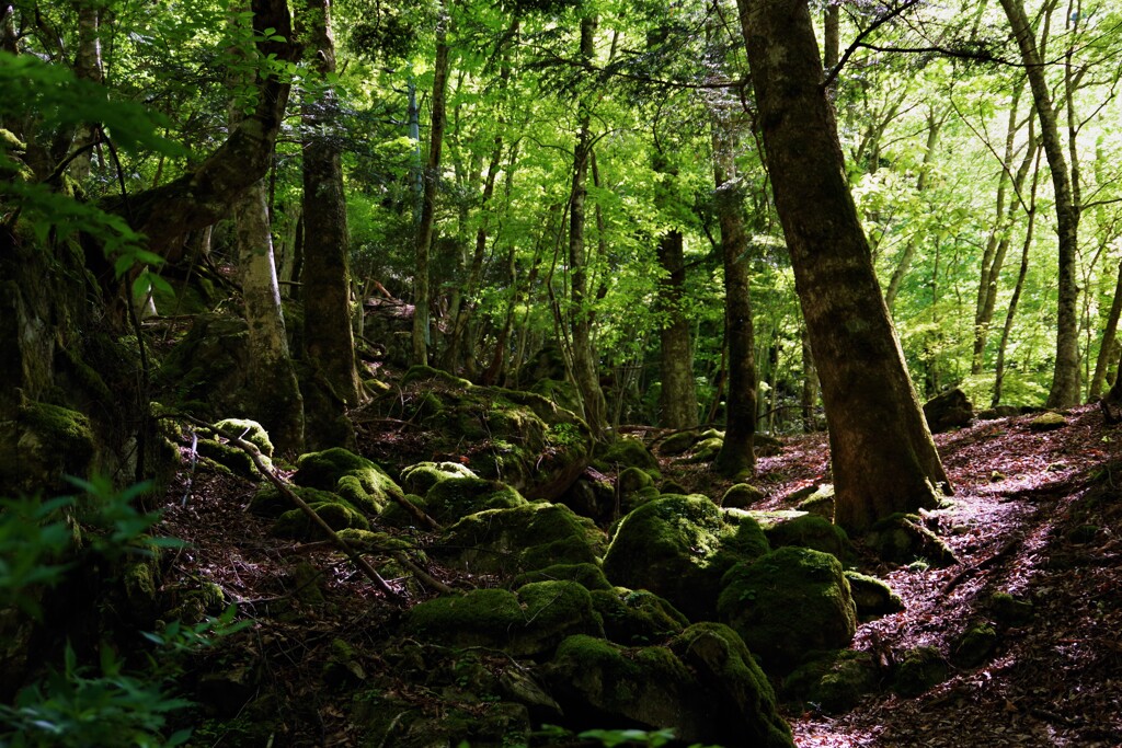 天川村散歩3(奈良)