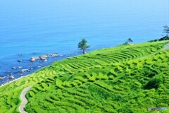 能登散歩2(石川)