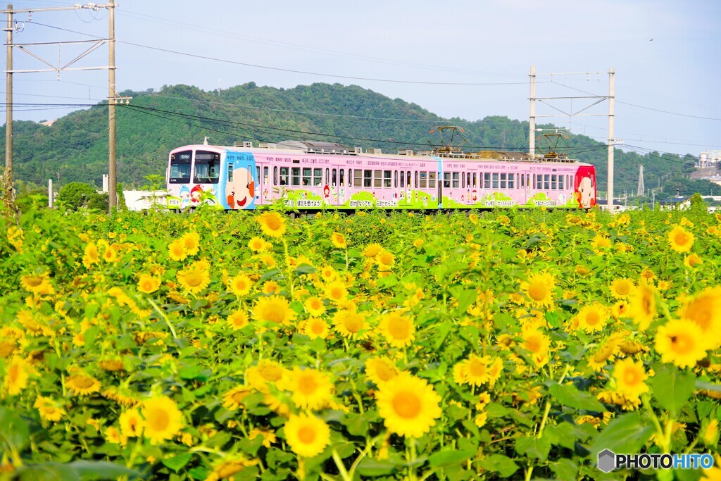 東近江8(滋賀)