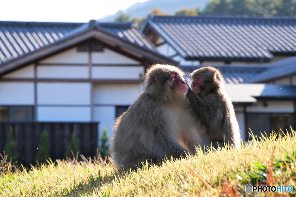 駒ヶ根散歩1(長野)