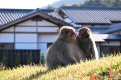 駒ヶ根散歩1(長野)