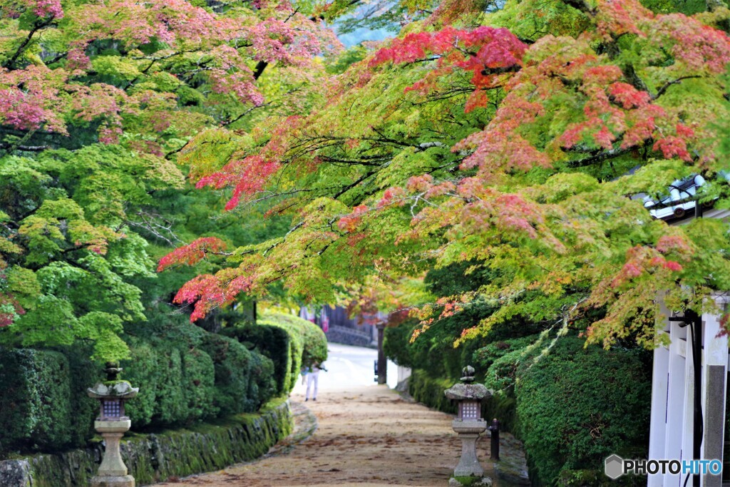 高野町散歩3(和歌山)