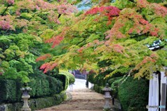 高野町散歩3(和歌山)