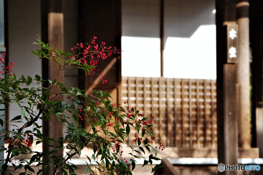 左京区散歩12(京都)