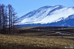 嬬恋村散歩1(群馬)