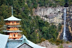 那智勝浦町散歩2(和歌山)