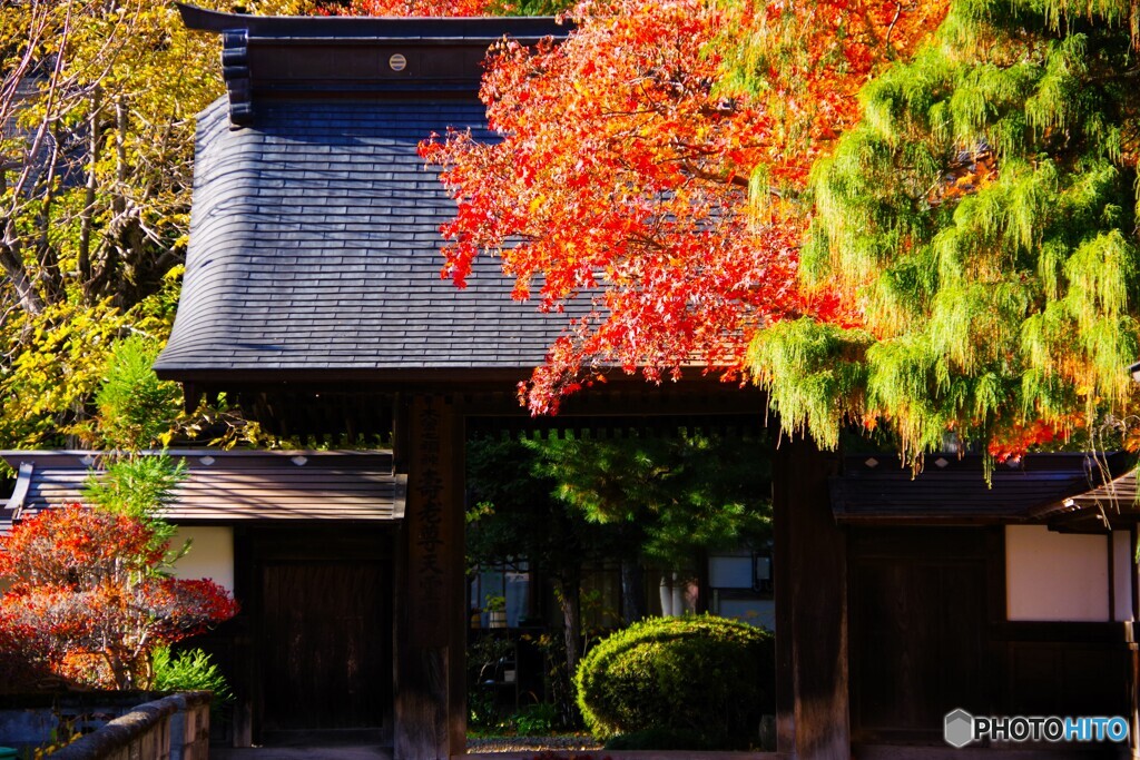 塩尻散歩2(長野)