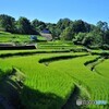 千早赤阪村散歩11(大阪)