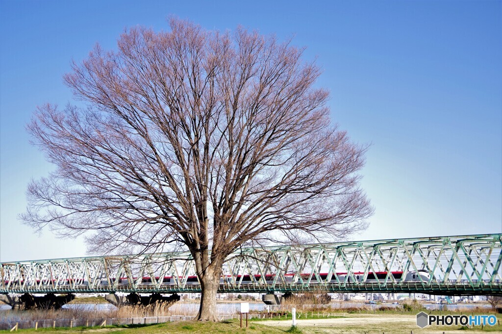 江戸川区散歩3(東京)