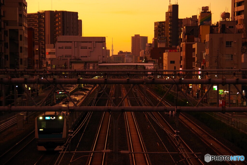 川口散歩1(東京)