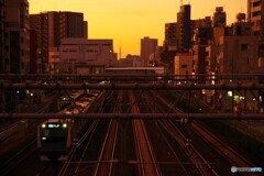 川口散歩1(東京)