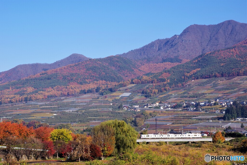 中野散歩1(長野)