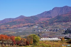 中野散歩1(長野)