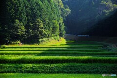 かつらぎ町散歩13(和歌山)