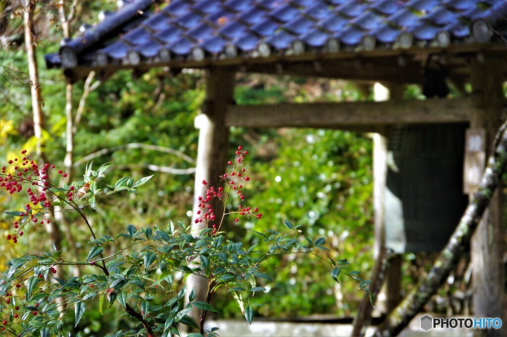 左京区散歩13(京都)