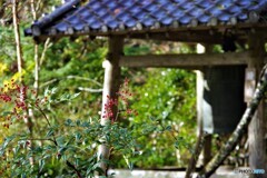 左京区散歩13(京都)