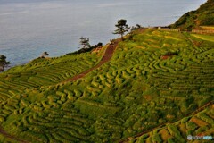 能登散歩⑤(石川)