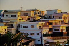 和歌山散歩3(和歌山)