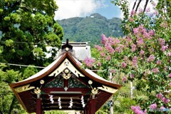 つくば散歩④(茨城)