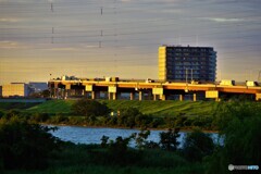 足立区散歩②(東京)