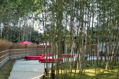 左京区散歩2(京都)