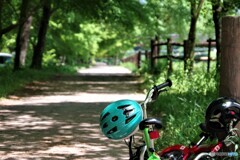 駒ヶ根散歩8(長野)