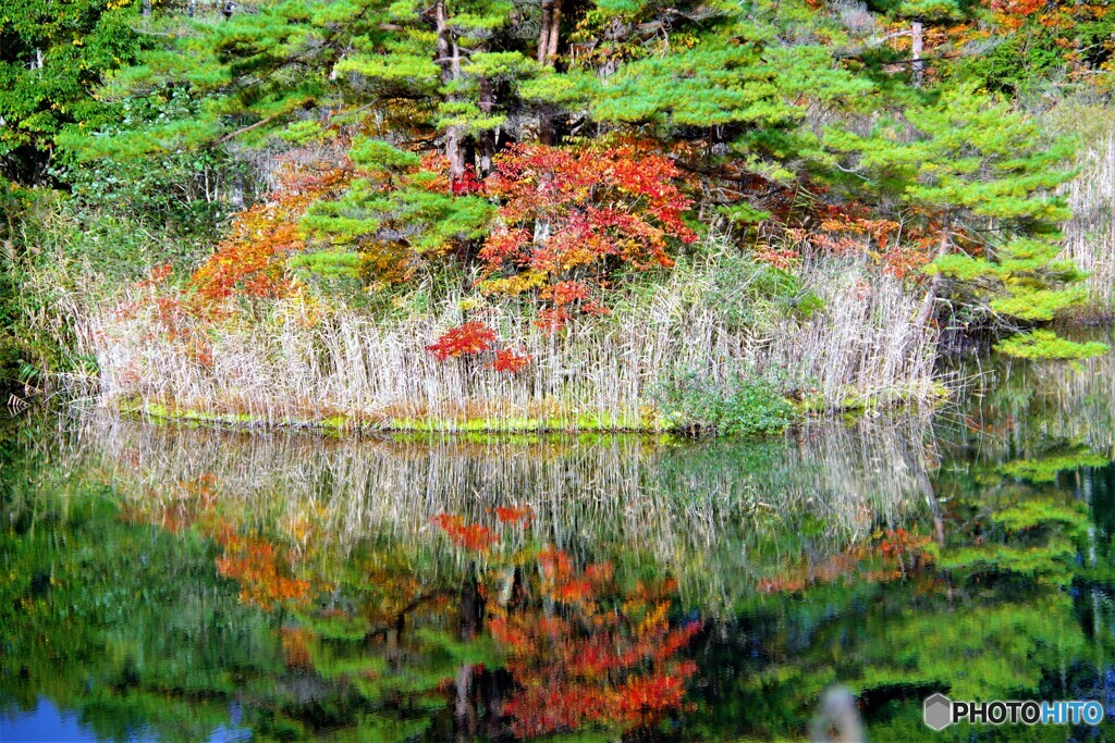 北塩原村散歩1(福島)