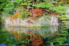 北塩原村散歩1(福島)