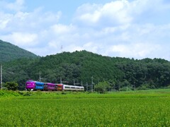 南丹6(京都)