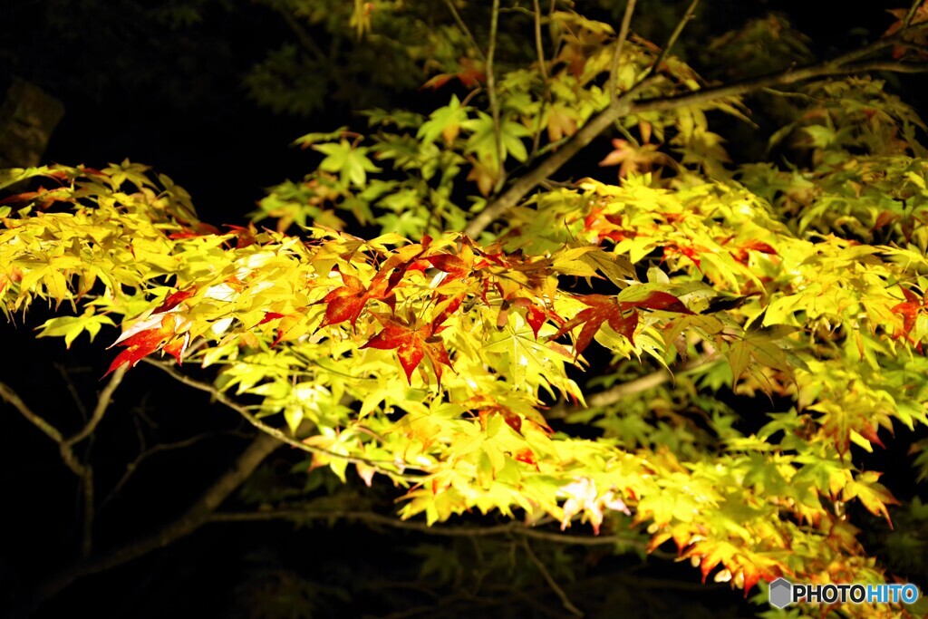 高山散歩1(岐阜)