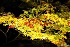 高山散歩1(岐阜)