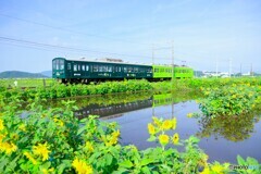 東近江10(滋賀)