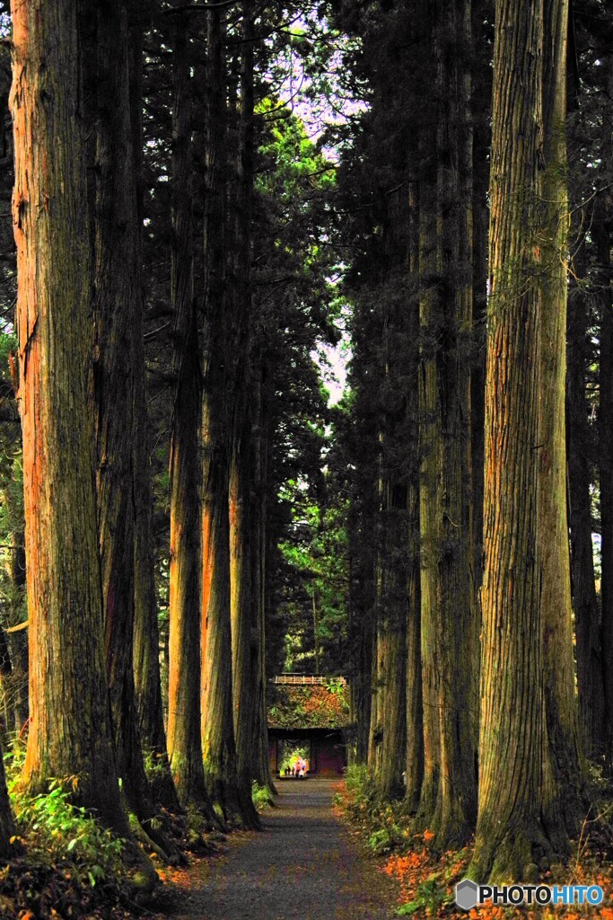 長野散歩1(長野)