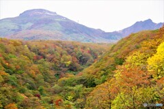 那須散歩①(栃木)