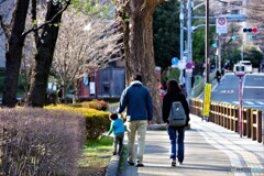 台東区散歩2(東京)