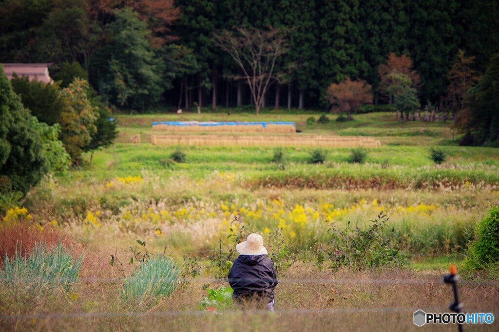 みなかみ町散歩8(群馬)