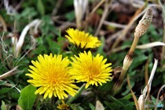 みなかみ町散歩8(群馬)