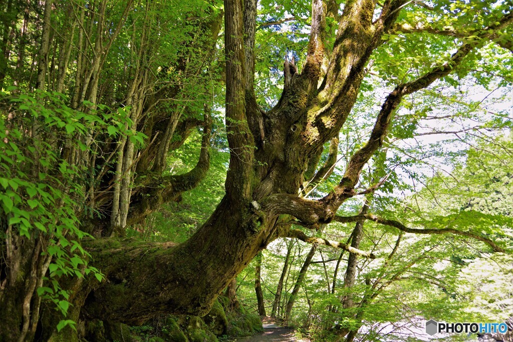 天川村散歩2(奈良)