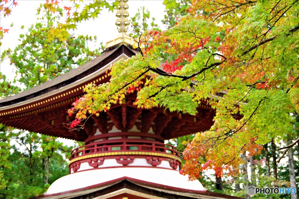 高野町散歩1(和歌山)