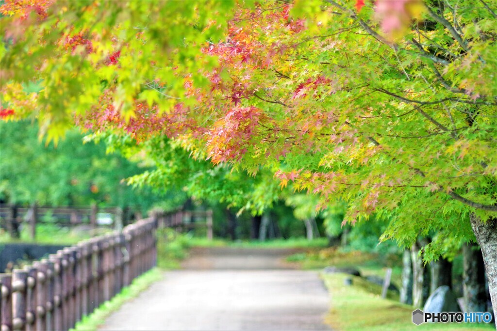 駒ヶ根散歩9(長野)