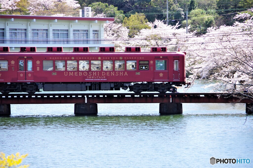 紀の川散歩2(和歌山)
