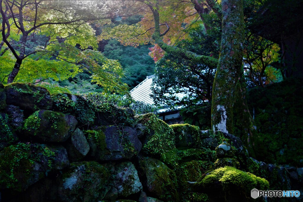 岸和田散歩6(大阪)