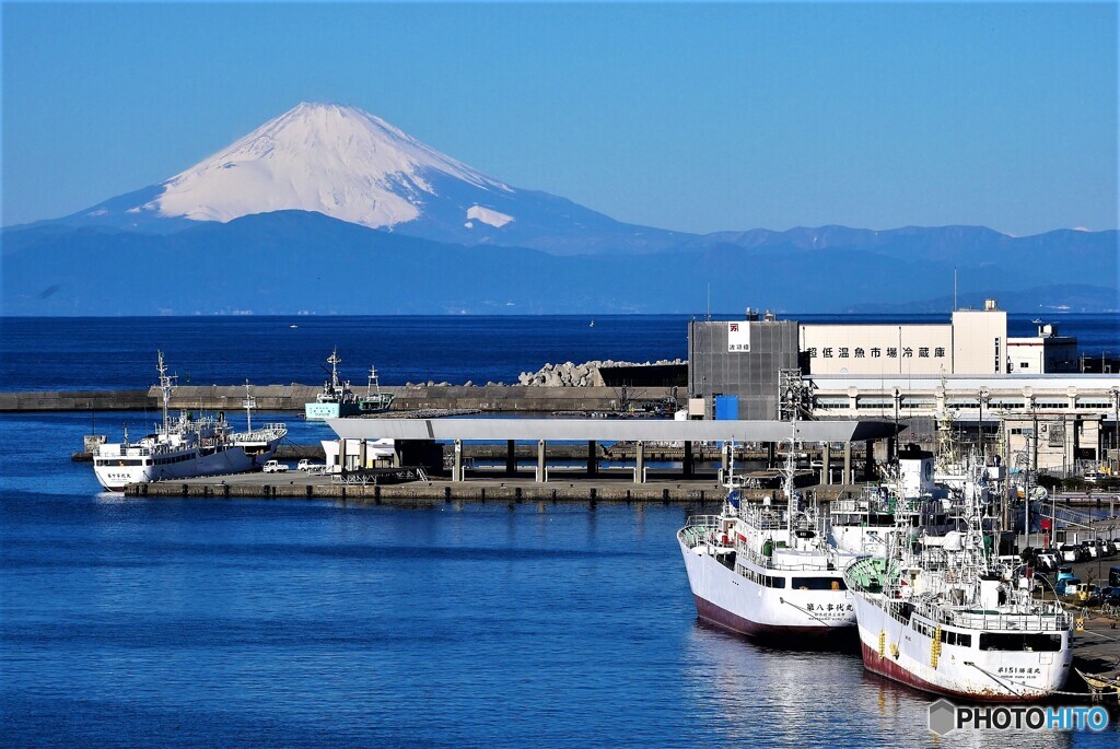 三浦散歩1(神奈川)