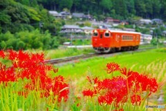 神河町散歩5(兵庫)