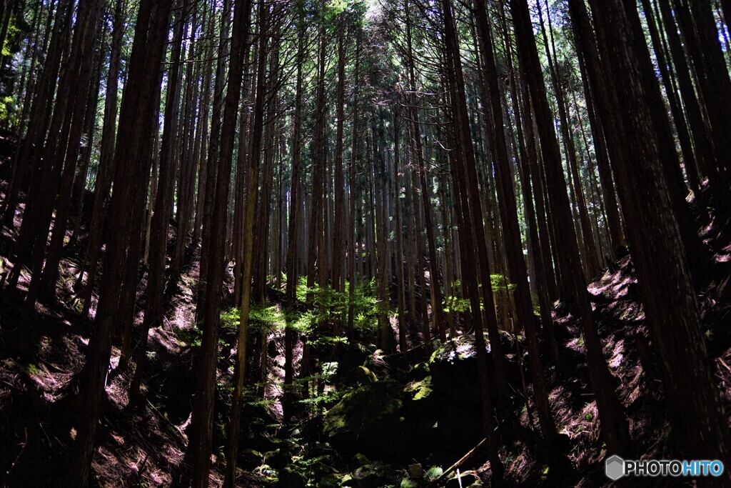 天川村散歩5(奈良)