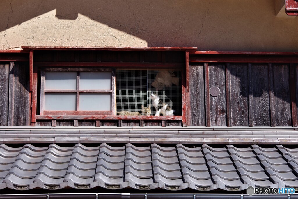 若狭町散歩3(福井)