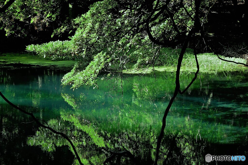 遊佐町散歩1(山形)