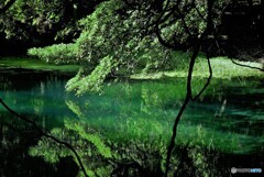 遊佐町散歩1(山形)