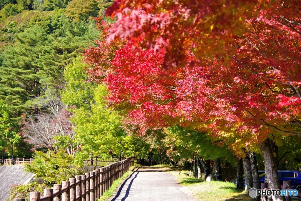 駒ヶ根散歩2(長野)