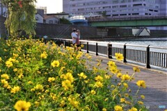 北区散歩3(東京)